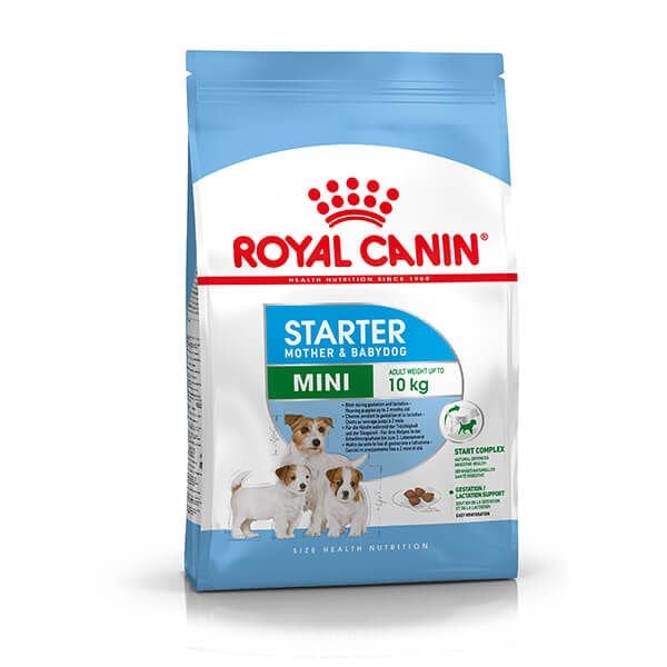 Royal Canin Mini Starter Anne ve Yavru Köpek Maması 4 Kg - Kuru Köpek Maması
