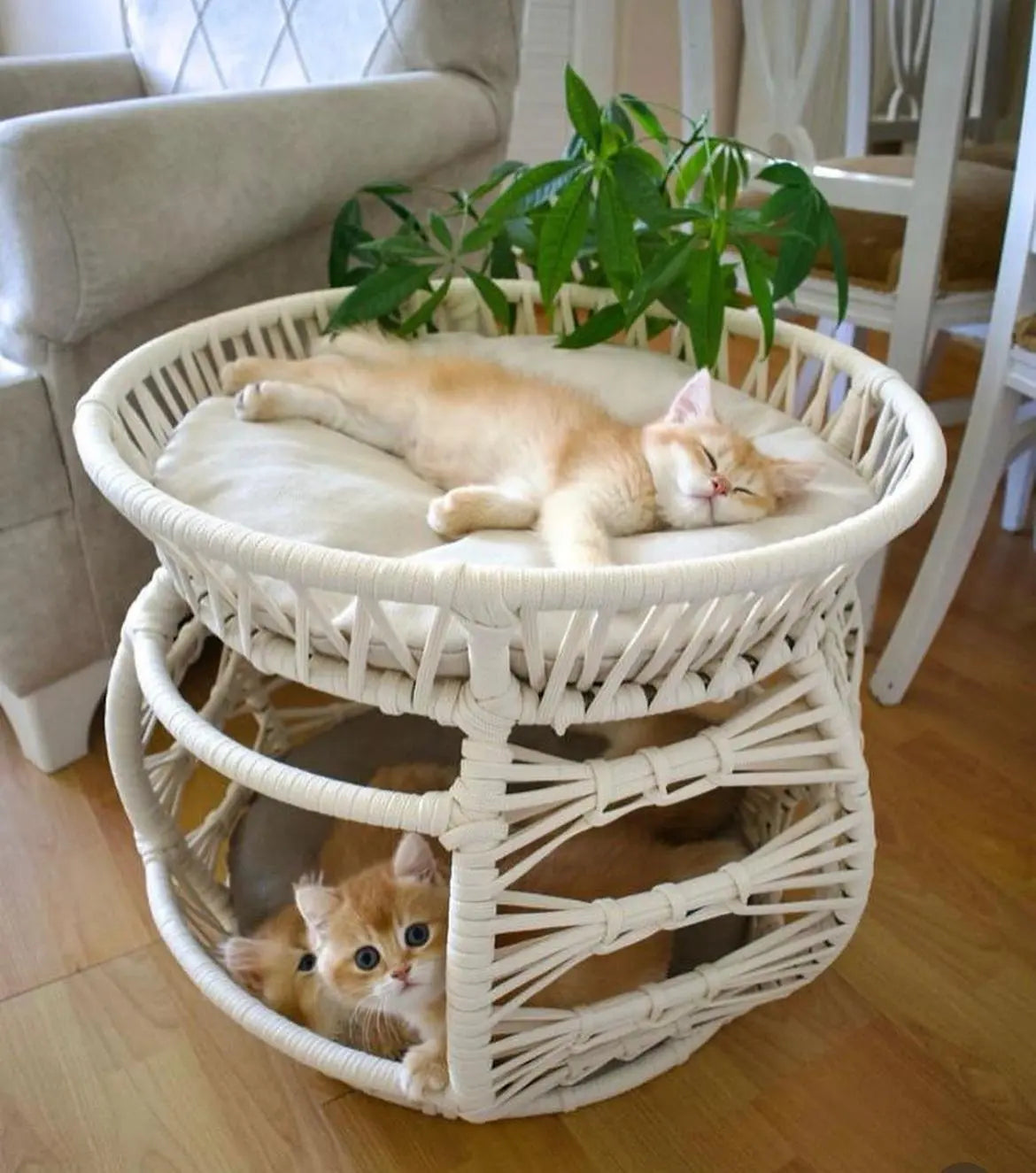 Lepus Bombeli Ranza Hasır Kedi ve Küçük Irk Köpek Yatağı Kahverengi 45x55 Cm