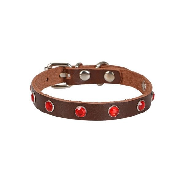 Cattie Gerçek Deriden Taşlı Kedi Boyun Tasması Medium Kahverengi 1x20-23 Cm - Kedi Tasması