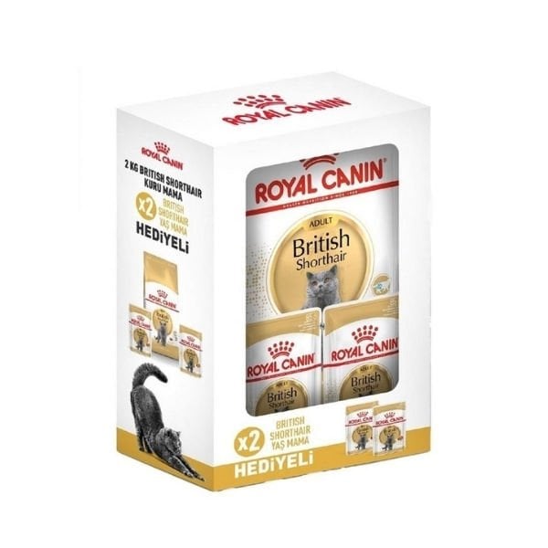 Royal Canin British Shorthair Adult Yetişkin Kedi Maması 2 Kg + 2 Konserve Hediyeli - Kuru Kedi Maması