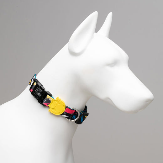 Lindo Dogs Enjoy Köpek Boyun Tasması Renkli Medium