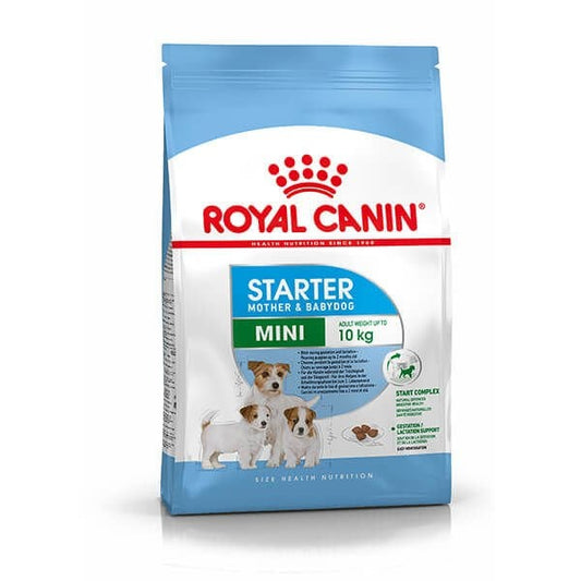 Royal Canin Mini Starter Anne ve Yavru Köpek Maması 4 Kg - Kuru Köpek Maması