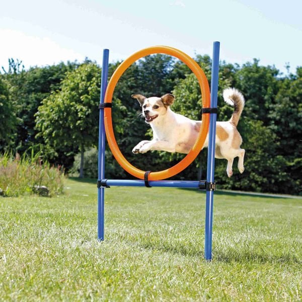 Trixie Köpek Agility Eğitim Çemberi 115x3 Cm
