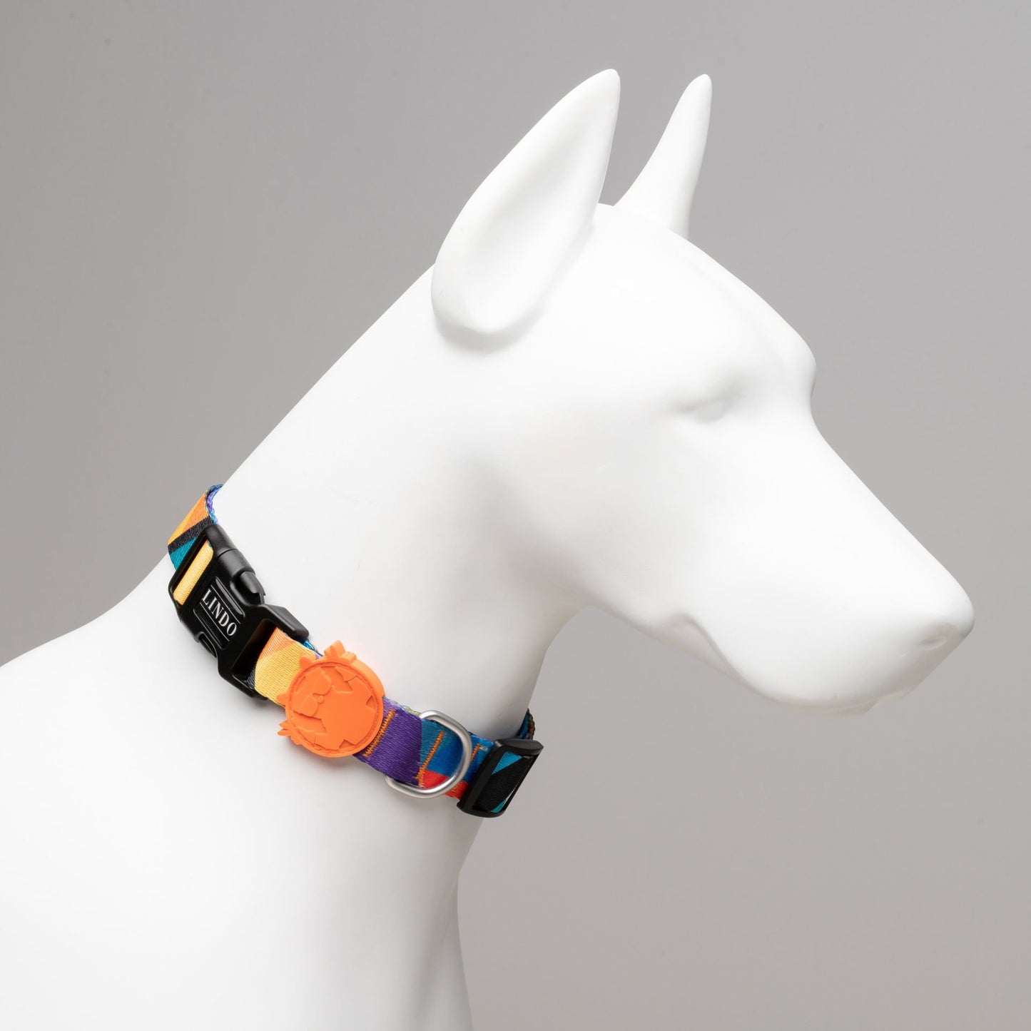 Lindo Dogs Ibiza Köpek Boyun Tasması Renkli Medium - Köpek Tasması