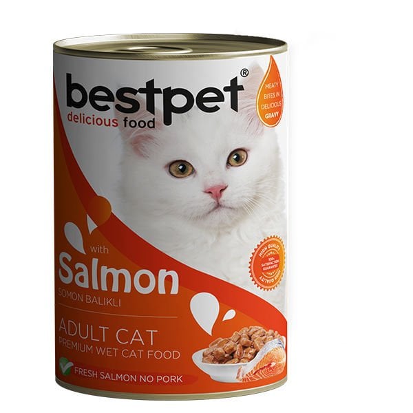 Bestpet Somonlu Jöleli Yetişkin Konserve Kedi Maması 1 Adet 400 Gr yaş konserve kedi maması