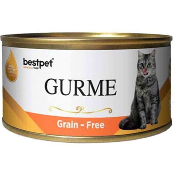 Bestpet Gurme Jöleli Somonlu Yetişkin Konserve Kedi Maması 1 Adet 100 Gr yaş konserve kedi maması