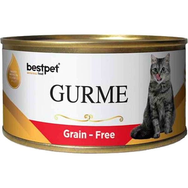 Bestpet Gurme Jöleli Biftekli Yetişkin Konserve Kedi Maması 1 Adet 100 Gr yaş konserve kedi maması
