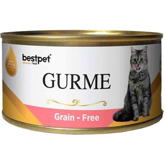 Bestpet Gurme Jöleli Somonlu Kısırlaştırılmış Konserve Kedi Maması 1 Adet 85 Gr yaş konserve kedi maması