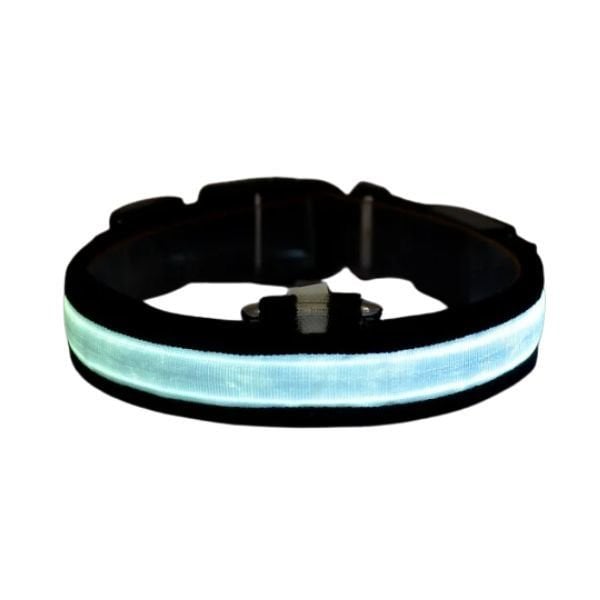 Petzz Işıklı Ayarlanabilir Flaşörlü Kedi ve Köpek Boyun Tasması Mavi 52-60 Cm / 2.5 Cm - Kedi Tasması