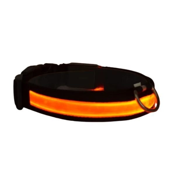 Petzz Işıklı Ayarlanabilir Flaşörlü Kedi ve Köpek Boyun Tasması Kırmızı 40-48 Cm / 2.5 Cm - Kedi Tasması