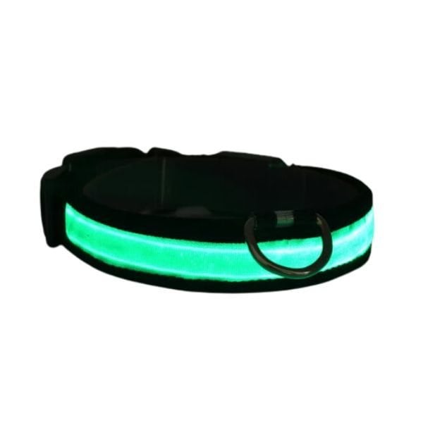 Petzz Işıklı Ayarlanabilir Flaşörlü Kedi ve Köpek Boyun Tasması Yeşil 45-52 Cm / 2.5 Cm - Kedi Tasması
