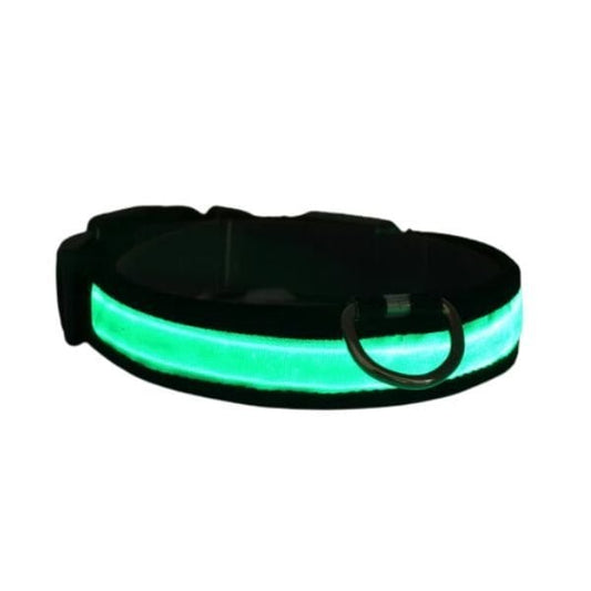 Petzz Işıklı Ayarlanabilir Flaşörlü Kedi ve Köpek Boyun Tasması Yeşil 40-48 Cm / 2.5 Cm - Kedi Tasması