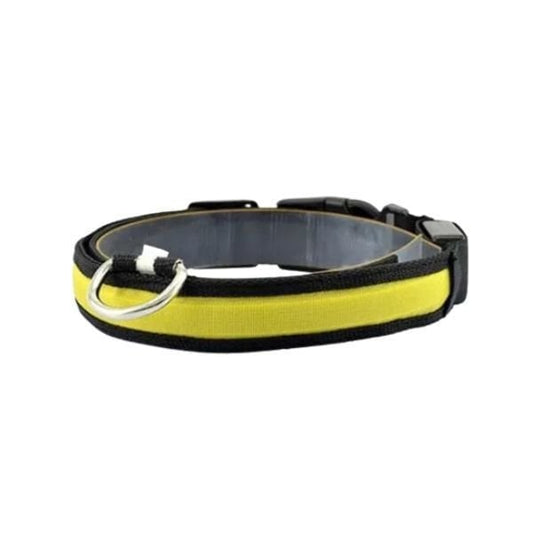 Petzz Işıklı Ayarlanabilir Flaşörlü Kedi ve Köpek Boyun Tasması Sarı 45-52 Cm / 2.5 Cm - Kedi Tasması