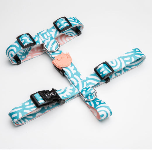 Lindo Dogs Touch H Tipi Köpek Göğüs Tasması Beden Beyaz/Mavi Large