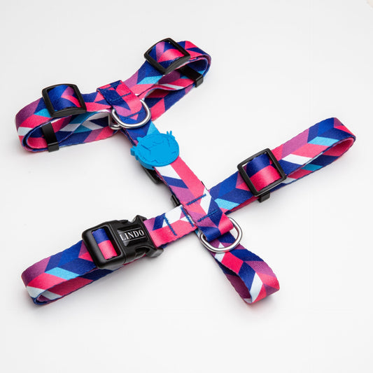Lindo Dogs Pink Dream H Tipi Köpek Göğüs Tasması Mavi/Pembe Beden Small - Köpek Tasması