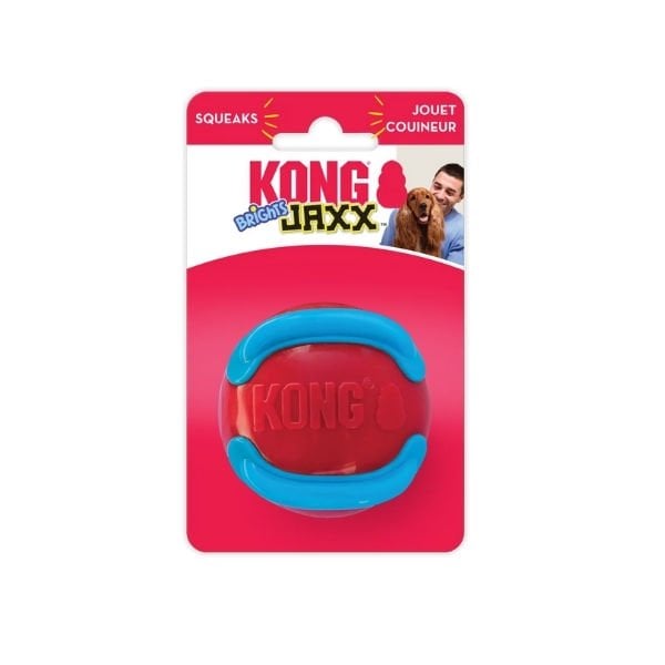Kong Jaxx Brights Sandviç Şeklinde Köpek Oyuncağı Large

