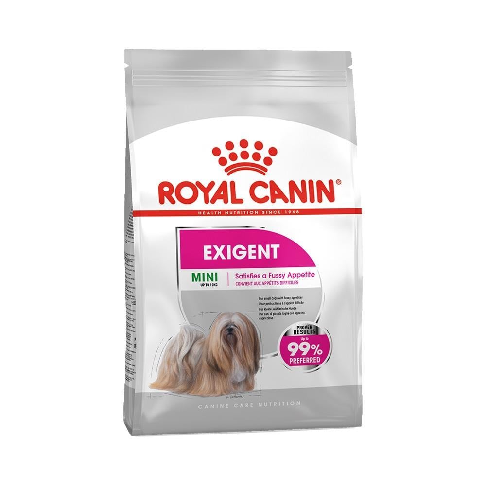 Royal Canin Mini Exigent Adult Yetişkin Köpek Maması 3 Kg - Kuru Köpek Maması