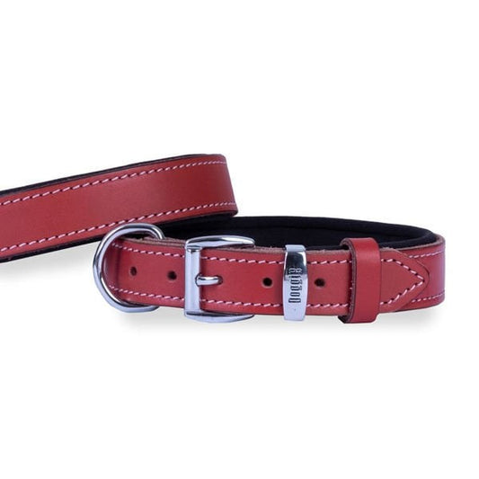 Doggie Konfor Deri Köpek Boyun Tasması Medium Kırmızı 3x42 50 Cm - Köpek Tasması