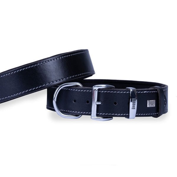 Doggie Konfor Deri Köpek Boyun Tasması Small Siyah 4x47 55 Cm - Köpek Tasması