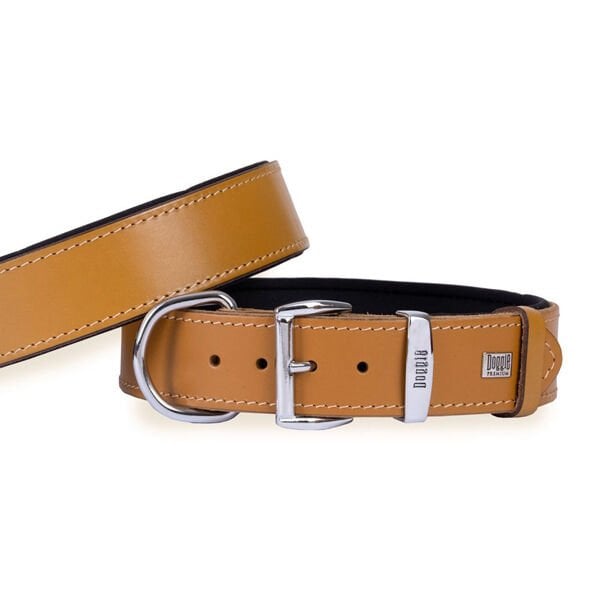 Doggie Konfor Deri Köpek Boyun Tasması Small Camel 4x47-55 Cm - Köpek Tasması