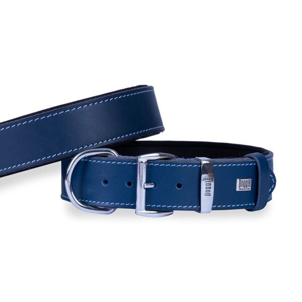 Doggie Konfor Deri Köpek Boyun Tasması Small Royal Mavi 4x47 55 Cm - Köpek Tasması