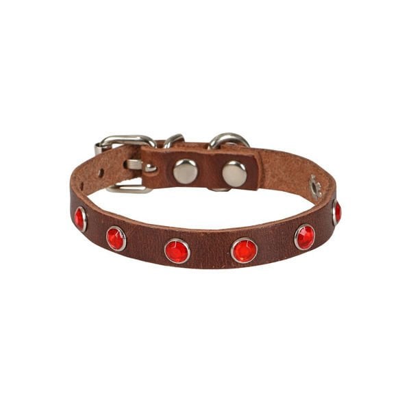 Cattie Gerçek Deriden Taşlı Kedi Boyun Tasması Small Kahverengi 1x16-20 Cm - Kedi Tasması