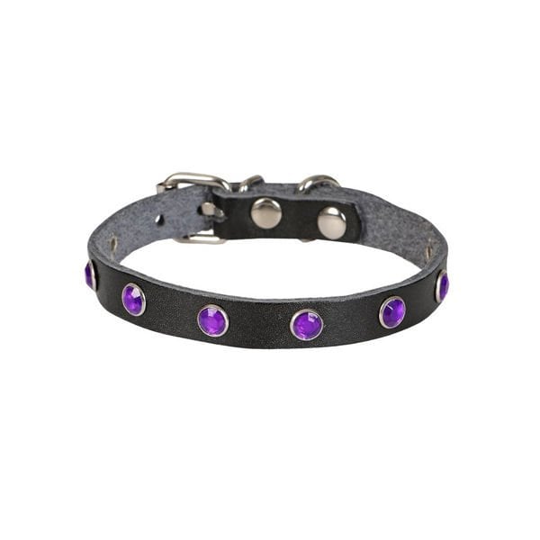 Cattie Gerçek Deriden Taşlı Kedi Boyun Tasması Medium Siyah 1x20-23 Cm - Kedi Tasması