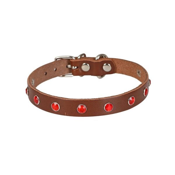 Cattie Gerçek Deriden Taşlı Kedi Boyun Tasması Large Kahverengi 1.2x23-28 Cm - Kedi Tasması