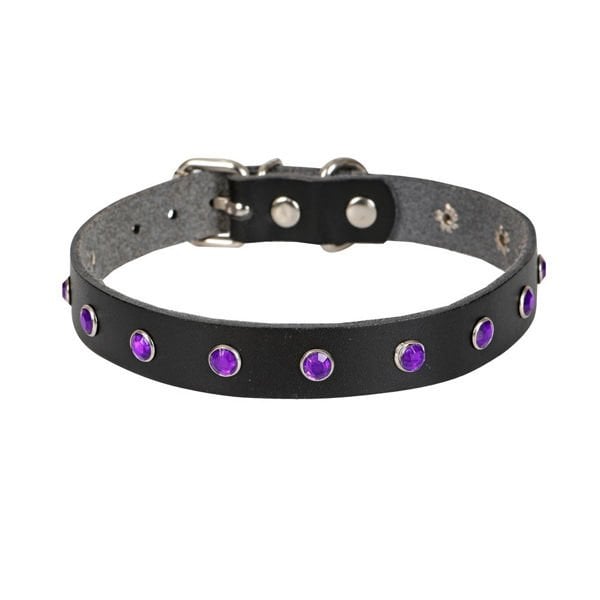 Cattie Gerçek Deriden Taşlı Kedi Boyun Tasması Xlarge Siyah 1.5x26-31 Cm - Kedi Tasması