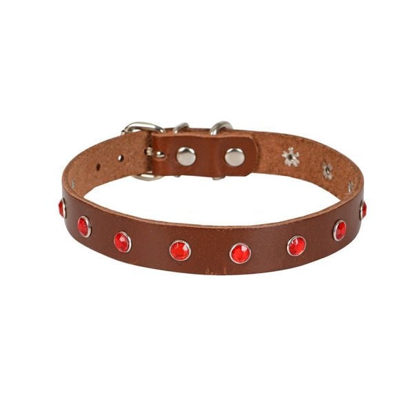 Cattie Gerçek Deriden Taşlı Kedi Boyun Tasması Xlarge Kahverengi 1.5x26-31 Cm - Kedi Tasması