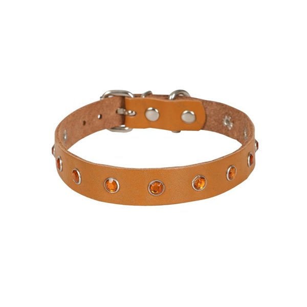 Cattie Gerçek Deriden Taşlı Kedi Boyun Tasması Xlarge Camel 1.5x26-31 Cm - Kedi Tasması